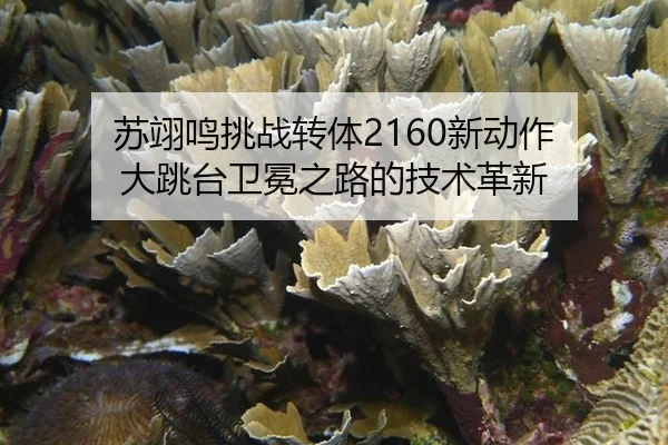 su-yi-ming-tiao-zhan-zhuan-ti-xin-dong-zuo-da-tiao-tai-wei-mian-zhi-lu-de-ji-shu-ge-xin-2-903.jpg